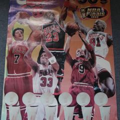 Chicago Bulls Poster