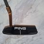 Ping Anser Heppler Image 2