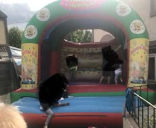 bouncy castle