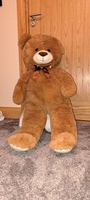 teddy