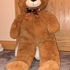 teddy