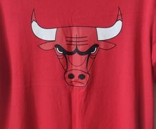 Official NBA Chicago Bulls T-Shirt Youth XL 18-20 Excellent condition