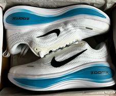 trainers