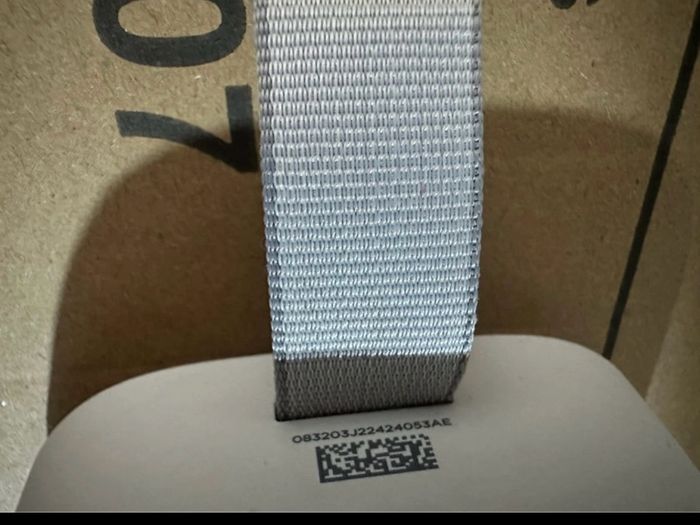 Bose flex