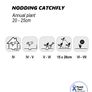 (N) Nodding Catchfly seeds 0.5g (184878) Image 2