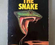 MASSIVE BOOK SALE - Vintage Paperbacks, Irish Authors & Bestsellers - Dublin