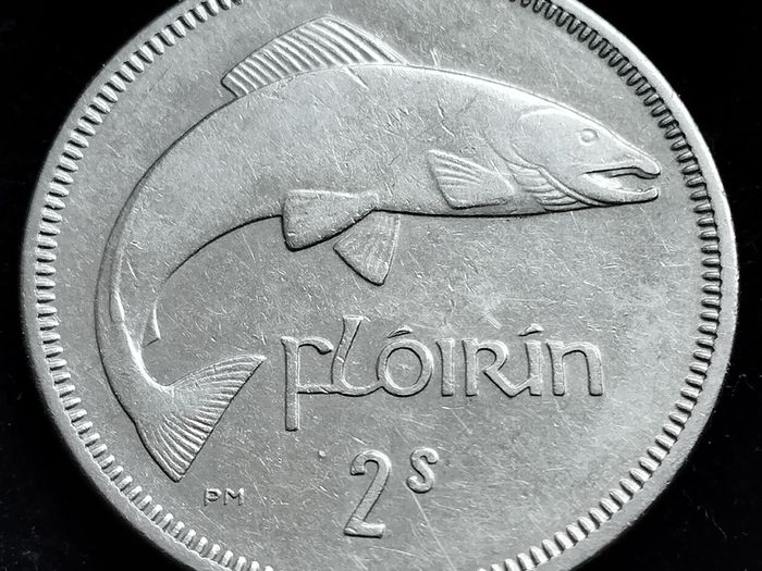 Ireland - 1965 - Florin - Salmon - KM.15a - [2458]