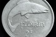 Ireland - 1965 - Florin - Salmon - KM.15a - [2458]