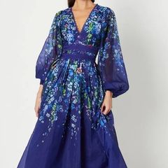Brand new Coast  Organza Floral Placement Lace Trim Midaxi Dress