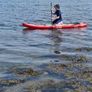Sup/ Surf Zray Paddle Boarding Image 3