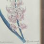 VTG BOMBAY COMPANY Framed Trio Floral Botanical Wall Art Prints Image 6