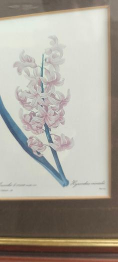 VTG BOMBAY COMPANY Framed Trio Floral Botanical Wall Art Prints