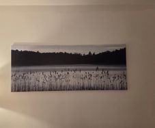 Large ikea landscape canvas - woodland Lake