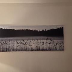 Large ikea landscape canvas - woodland Lake