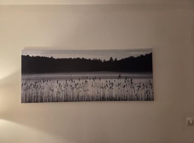 Large ikea landscape canvas - woodland Lake