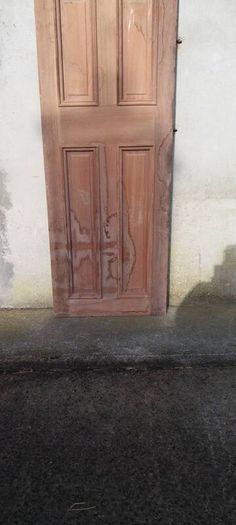 Pair of Mahogany  Doors