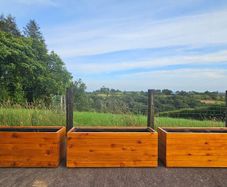 Premium Red Cedar Planters | 3 for 948