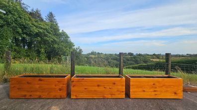 Premium Cedar Planter| 3 for 900 Reduced to clear