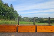 Premium Cedar Planter| 3 for 900 Reduced to clear