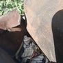 3 X  Quality Vintage Leather Satchels Image 10