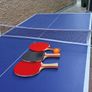 Table Tennis Table Image 3