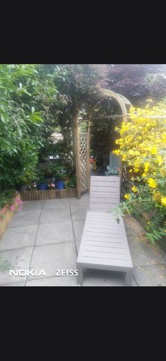 garden chair lounge