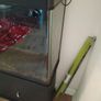 300 litre fish tank Image 3
