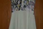 Ted Baker dress