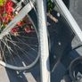Bikes male and female adult size Image 4
