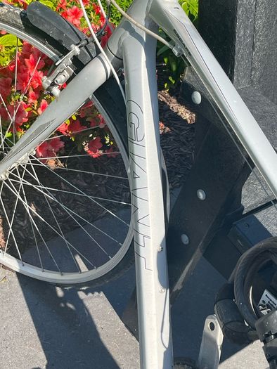 Bikes male and female adult size