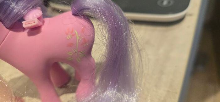 Dup Bundle 2 x Flutter ponies Lily and Honeysuckle MLP G1 My Little Pony
