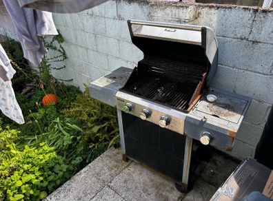 Free BBQ Dublin 5