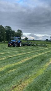 Tedding.Hay.Hay.hayJuly all day drying fast