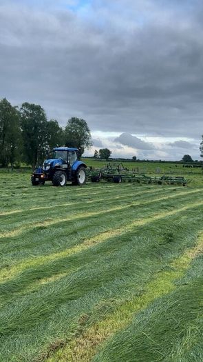 Tedding.Hay.Hay.hayJuly all day drying fast
