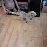 Mattel Jurassic World Super Colossal Atrociraptor action figure Image 3