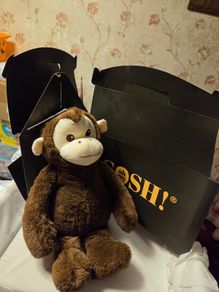 Gosh Teddy & Gift  Box - Brand New with Tag