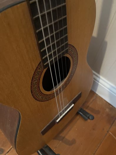 guitar and stand
