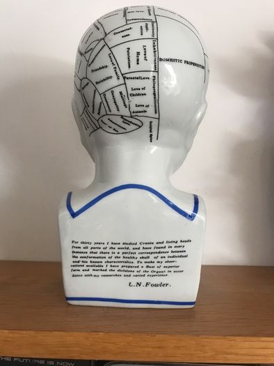 Phrenology Head  Bust