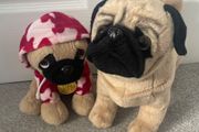 2 medium size pug teddies in great condition