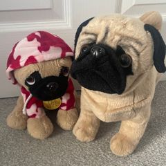 2 medium size pug teddies in great condition
