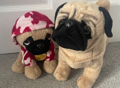2 medium size pug teddies in great condition