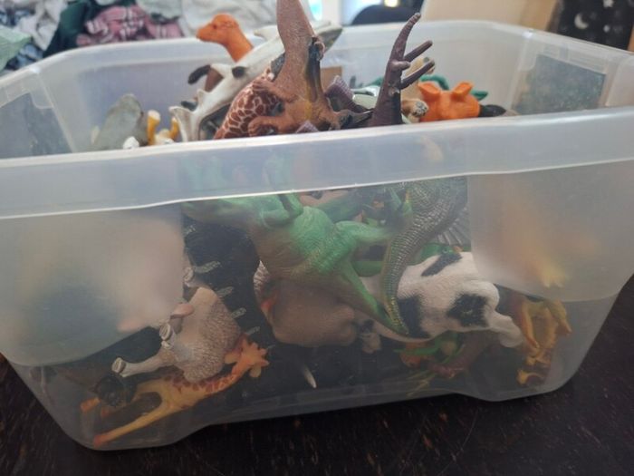 Bulk of animals