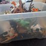 Bulk of animals Image 6