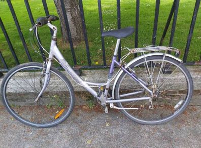 Raleigh bike
