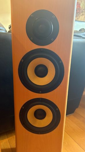 Sony Floor Standing
