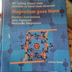 Magnetism goes Nano: Electron Correlations, Spin Transport, Molecular Magnetism... (gebundene Ausgabe