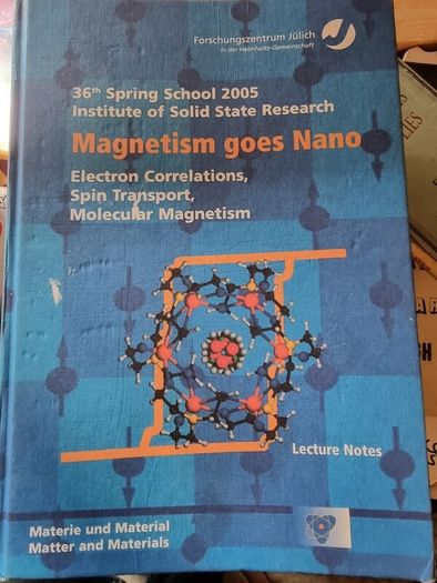 Magnetism goes Nano: Electron Correlations, Spin Transport, Molecular Magnetism... (gebundene Ausgabe