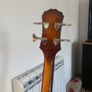 epiphone bass Image 4