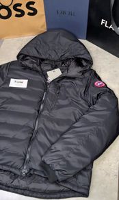 Canada goose