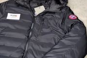 Canada goose